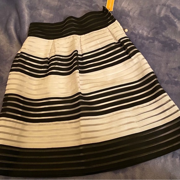 NWT Elegant Stripe Sheer Skirt - Picture 2 of 7
